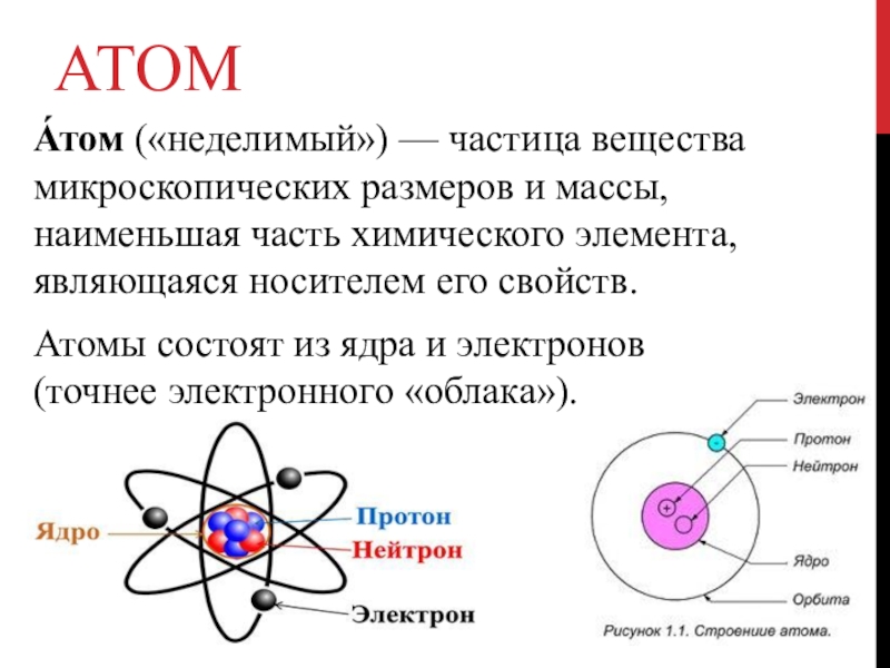 Какие элементарные частицы составляют ядро атома