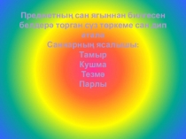 Презентация Сан