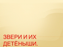 Презентация по теме Млекопитающие