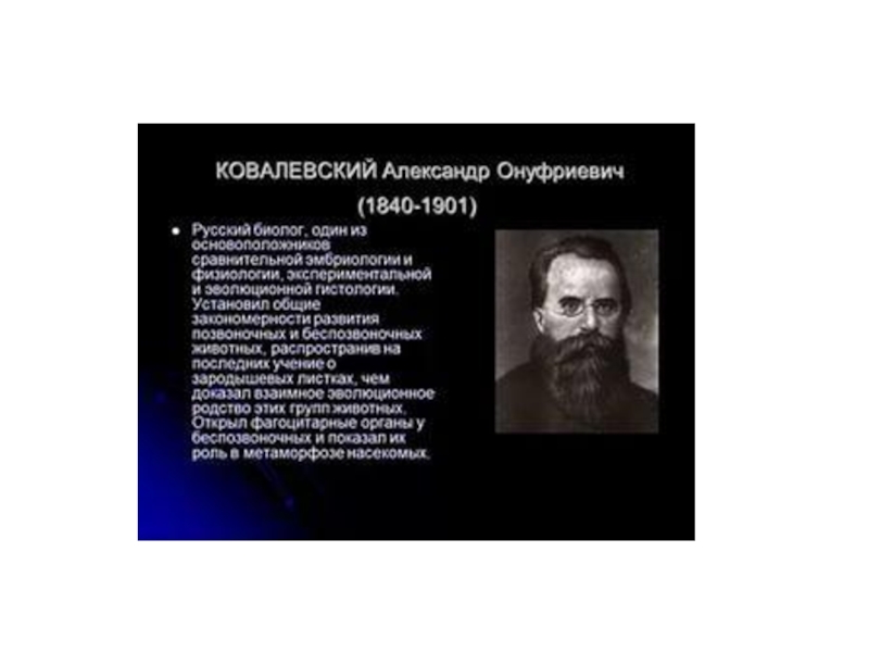 Ковалевский александр онуфриевич презентация