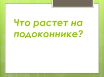 Презентация по окружающему миру на тему Что растет на подоконнике