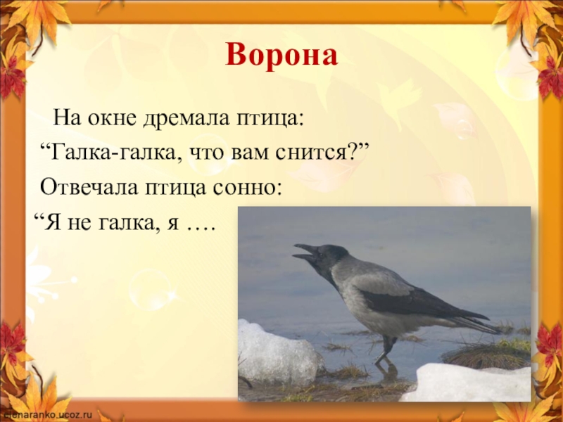 Ворона каркает составить предложение. Доскажи словечко птицы Галка. Голодно холодно галки воробьи стих. Утро Солнечный Луч и птицы галки. Когда день галок.