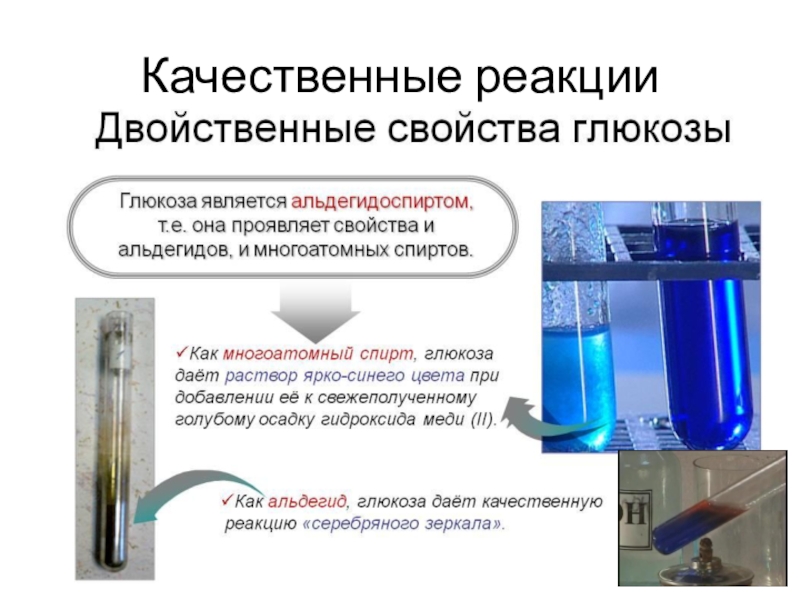 Презентация углеводы 10 класс химия базовый уровень