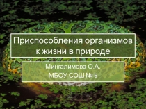 Презентация по биологии на тему Приспособления организмов к жизни в природе