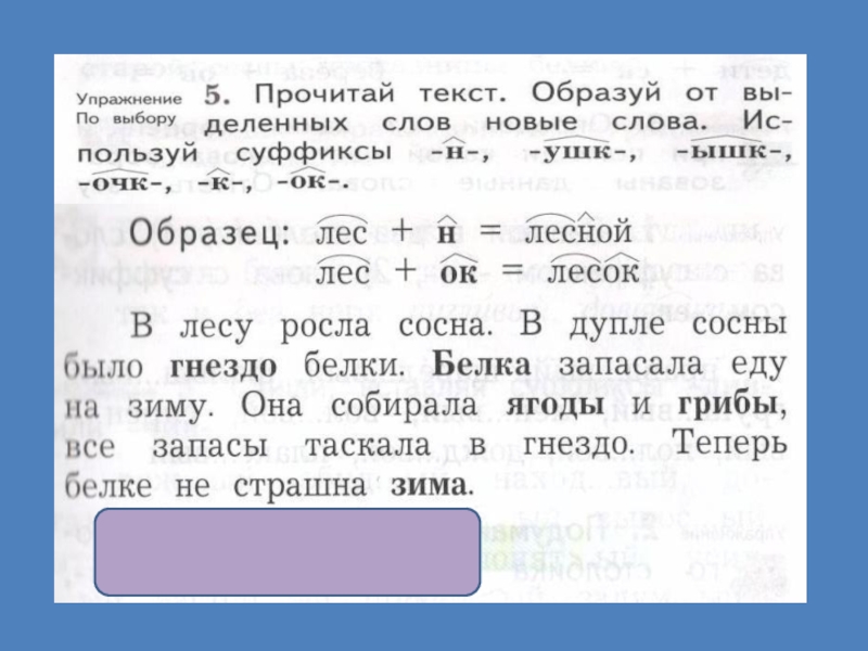 Составить слова используя суффиксы. Образуй слова. Слово белка с разными суффиксами. Суффиксы в русском языке 5 класс. Белка+образовать+новые+слова.
