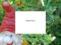 Лучший участок в детском саду