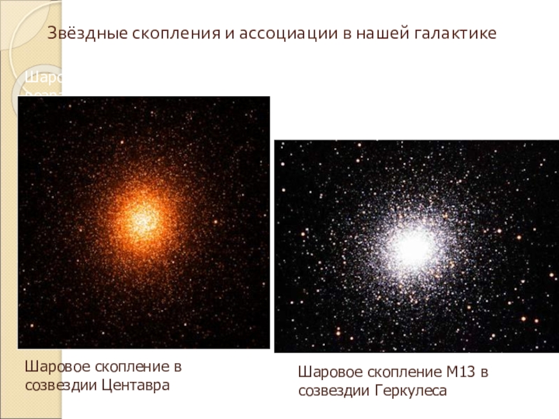Шаровые скопления в галактике. Звездные скопления и ассоциации. Шаровые Звездные скопления. Расположение Звездных скоплений в галактике. Звездные скопления в нашей галактике.