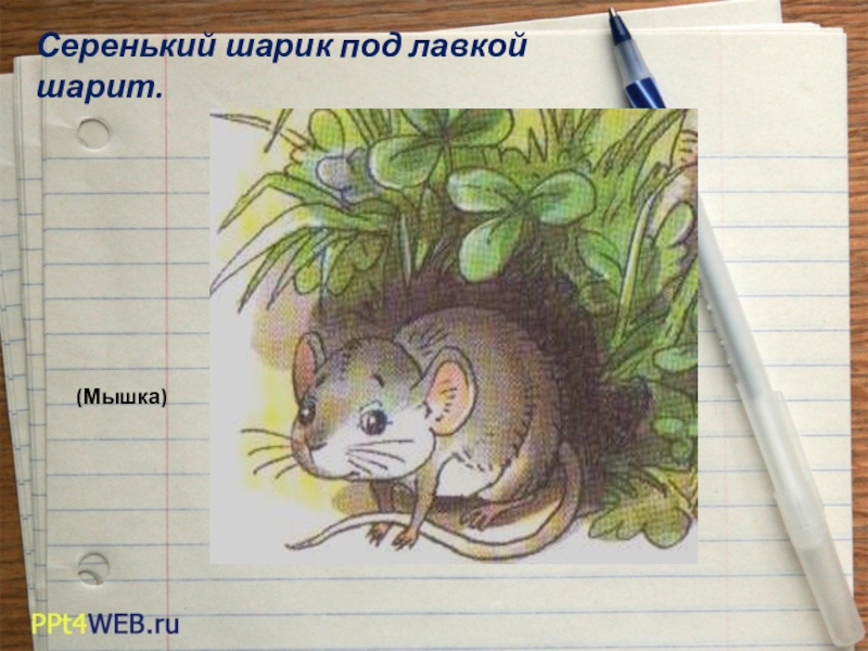 серенький шарик под лавкой шарит. загадка маленький шарик под лавкой шарит ответ. загадки для детей сто одежек и все без застежек. серый шарик под лавкой шарит. маленький шарик под лавкой шарит.