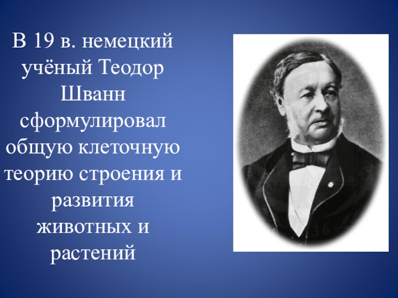 Германий ученый. Теодор Шванн вклад. Теодор Шванн сформулировал теорию. Ученые Германии Теодор Шванн. Теодор Шванна в биологии вклад.