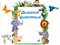 Презентация Дыхание животных по биологии