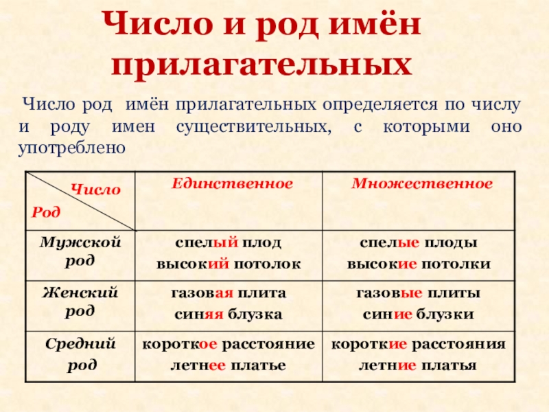 Имя прилагательное в схемах и таблицах