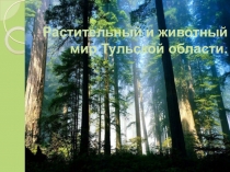 Растительный и животный мир Тульской области