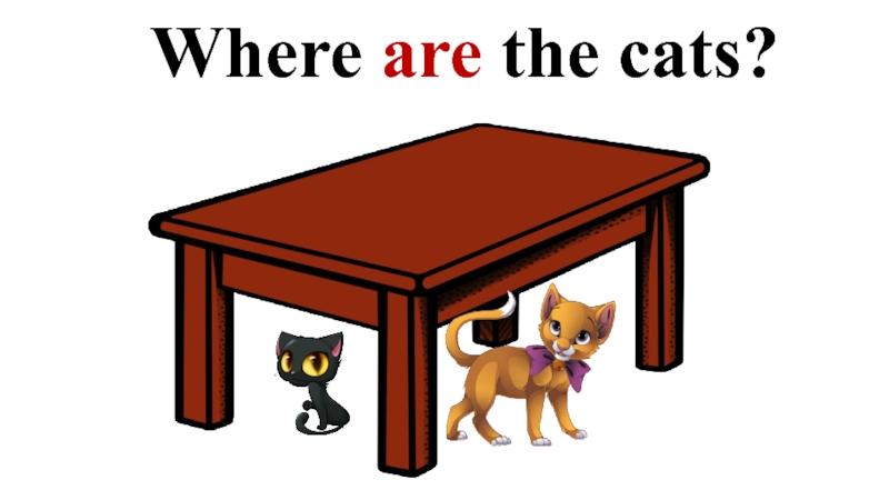 Where are the cats?