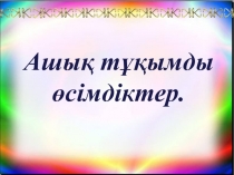 Ашық тұқымды өсімдіктер (6 класс)