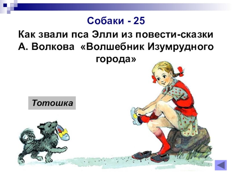 Как звали пса. Как звали собаку Элли из волшебника изумрудного города. Собачка из волшебника изумрудного города. Собака из изумрудного города. Тотошка собачка Элли.