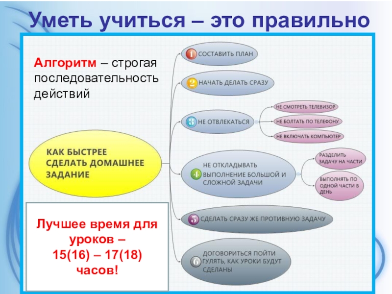 Обществознание 6 класс что изучает обществознание презентация