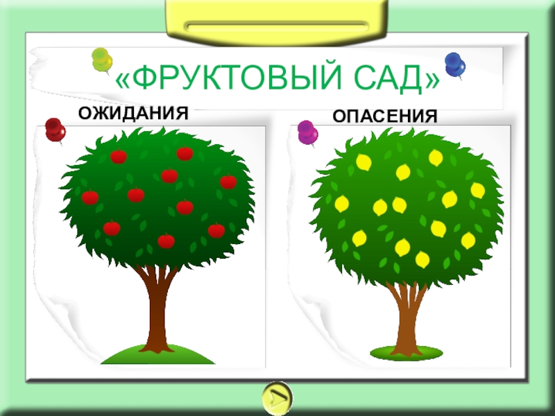 Метод сад. Метод фруктовый сад. Метод фруктовый сад в начальной школе. Дерево ожиданий и опасений. Ожидания и опасения.