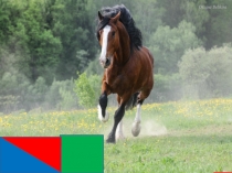 Звуки т, т`. Буквы Т, т.