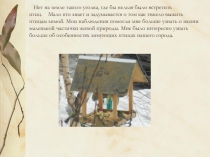 Презентация для НПК Зимующие птицы Междуреченска