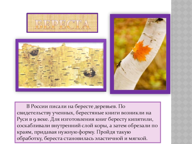 В России писали на бересте деревьев. По свидетельству ученных, берестяные книги возникли на Руси в 9 веке.