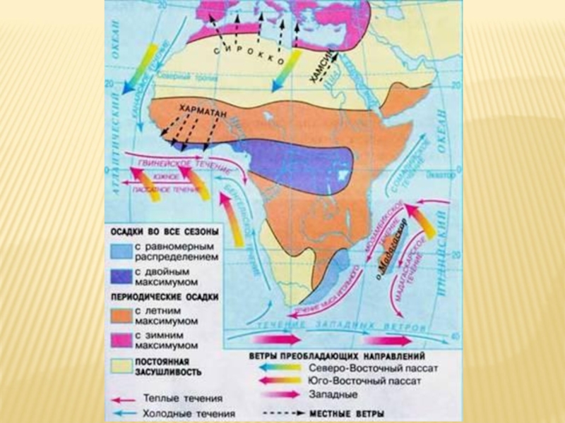 Холодные течения гвинейское. Теплые и холодные течения Африки на контурной карте. Холодные течения Африки на карте. Холодные и теплые течения Африки на карте. Океанические течения холодные и теплые в Африке на карте.