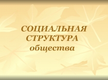 Презентация Социальная структура общества