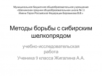 Методы борьбы с сибирским шелкопрядом