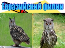 Сложение и вычитание смешанных чисел