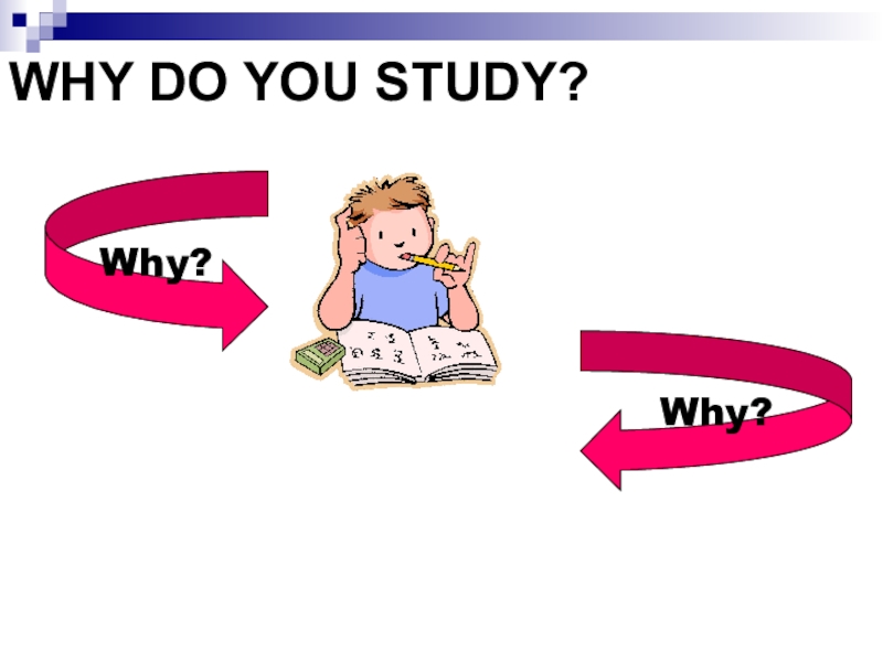 Why do we study