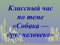 Презентация по окружающему миру на тему Породы собак (2 класс)