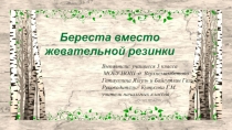 Исследовательская работа Береста вместо жевательной резинки