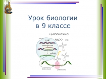 Презентация по биологии на тему Биосинтез белка