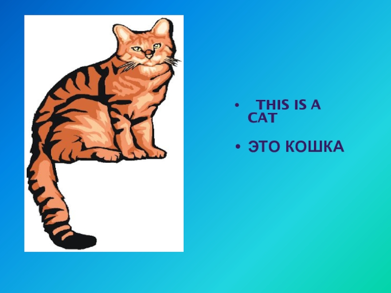 1 this is a cat. This is a Cat. This is картинка. What is this this is a Cat. Карточкп this is a Cat.