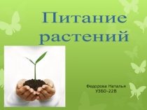 Презентация по биологии на тему Питание растений