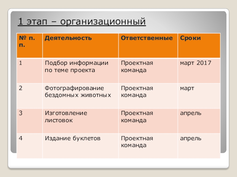 Организационный этап проекта