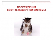 Презентация Травмы опорно-двигательного аппарата