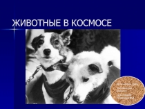 День космонавтики