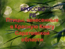 Анимированный кроссворд Птичий базар