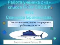 Положительное влияние аквариумных рыбок на человека.