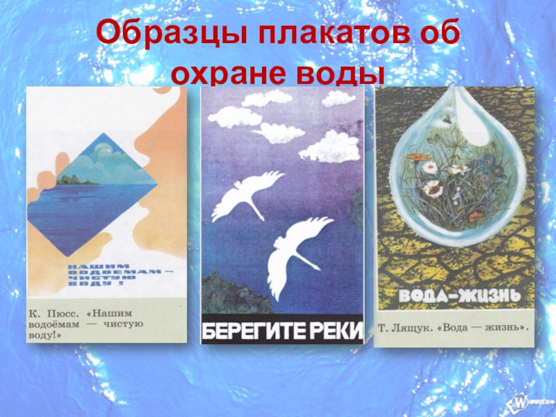 Презентация по биологии 5 класс важность охраны живого мира планеты пономарева