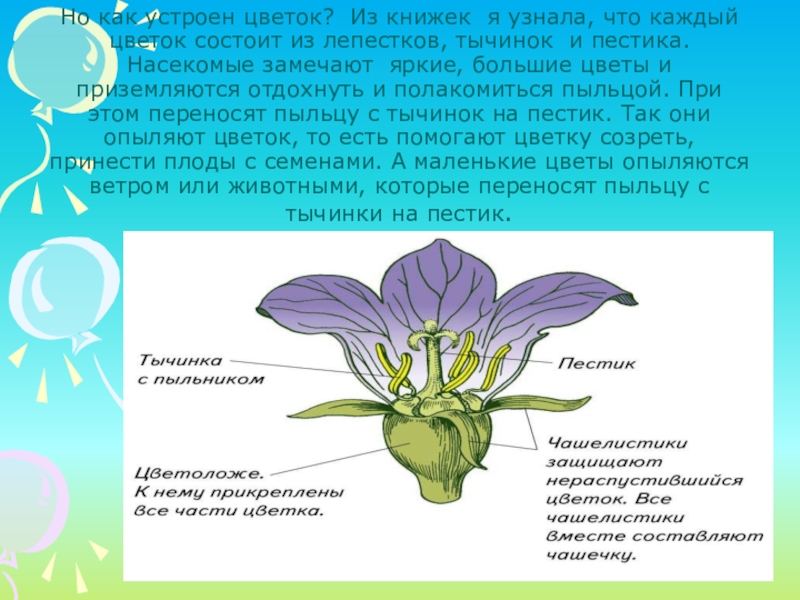 Зачем цветы. Почему пахнут цветы. Проект на тему почему пахнут цветы. Почему пахнут цветы проект. Полный цветок состоит из.