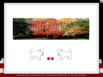 Презентация по русскому языку на тему Двойные согласные