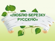 Презентация по развитию речи Русская береза
