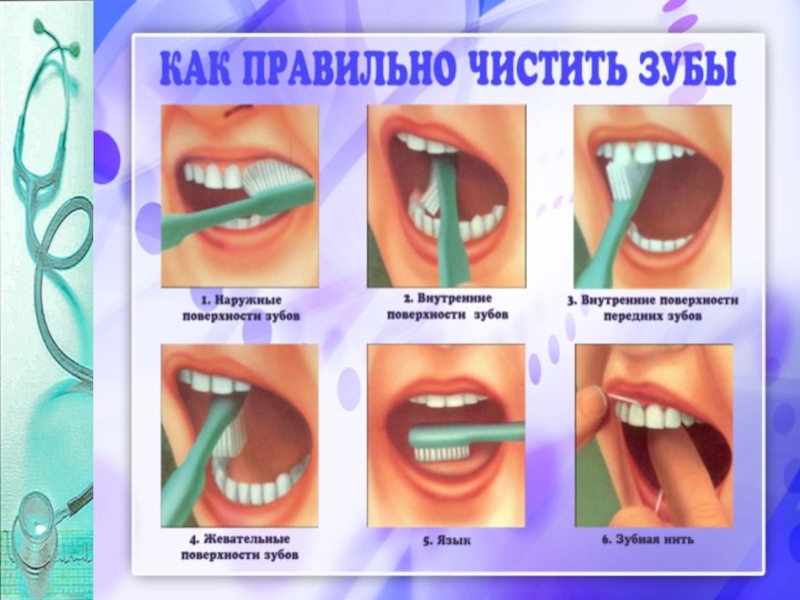 Рта класс. Пищеварение в ротовой полости. Гигиена зубов. Роль зубов в процессе пищеварения. Гигиена органов пищеварения ротовой полости и зубов. Гигиена полости рта учебник.