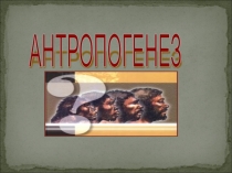 Презентация по биологии. Антропогенез.