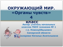Презентация по Окружающему миру органы чувств