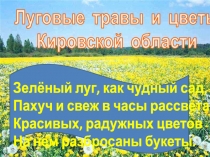 Презентация по окружающему миру на тему Луга Кировской области