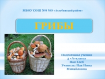 Грибы