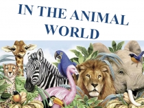 Презентация по английскому языку Животные