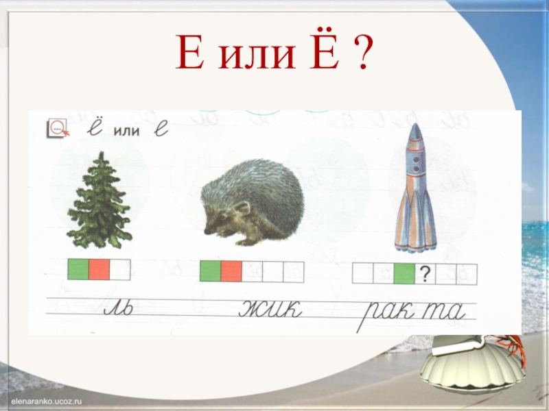 Место буквы е в слове. Слова на букву е в начале. Слова со звуком е. Буква е в начале середине и конце слова. Звук е в начале слова.